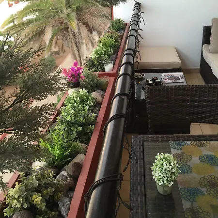 Duplex In Edificio Altemar *